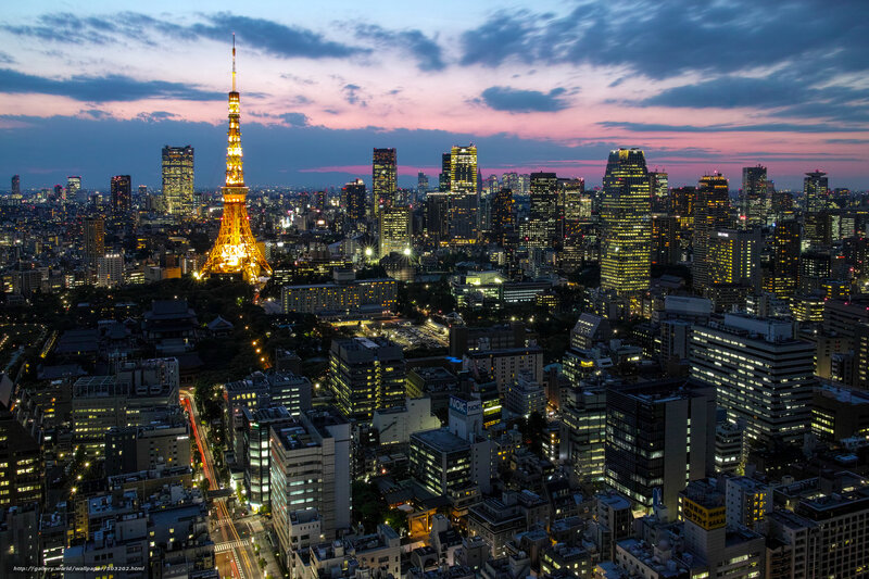 Tokyo Tower at Dusk — Purple, Dramatic, Night