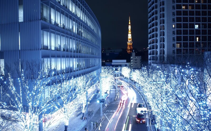 Tokyo Tower at Night — Blue, Serene, Photograph, Buildings, Trees