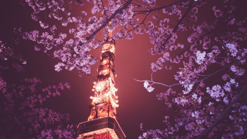 Tokyo Tower at Night — Purple, Serene, Photograph