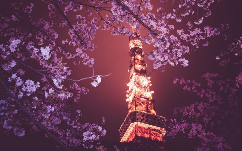 Tokyo Tower at Night — Purple, Serene