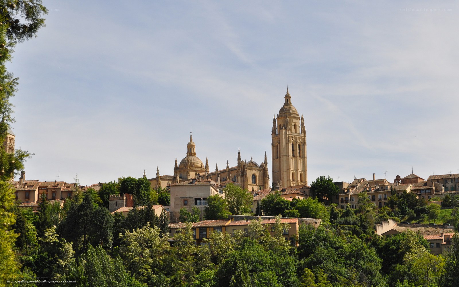 Toledo Cathedral and cityscape