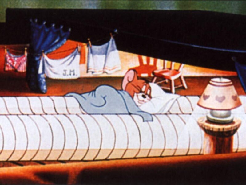 Tom Cat Sleeping
