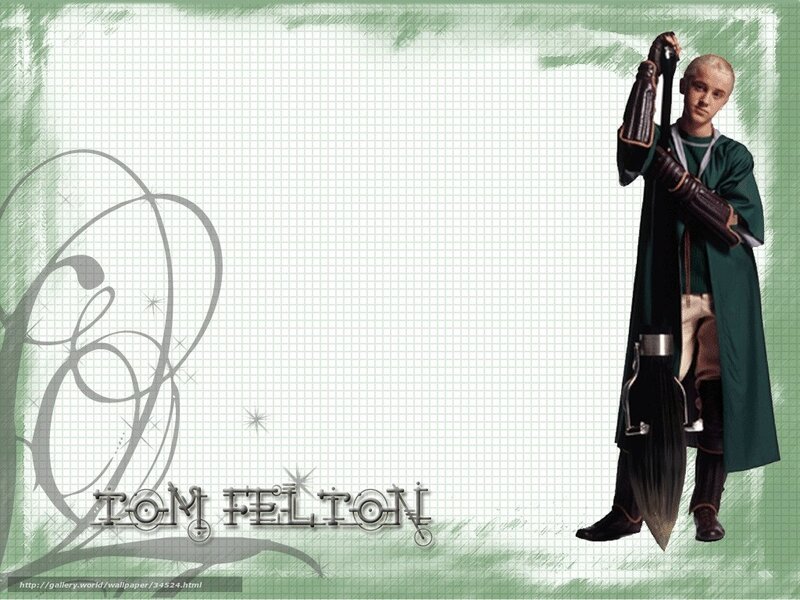 Tom Felton as Draco Malfoy