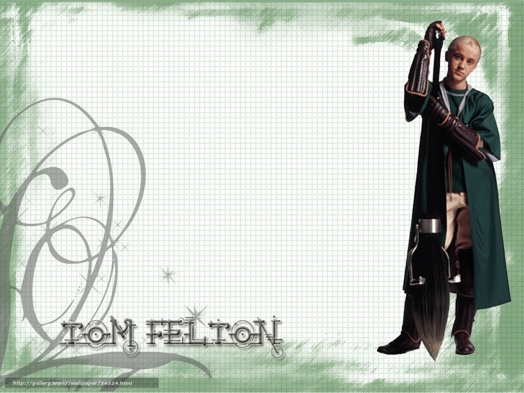Tom Felton as Draco Malfoy