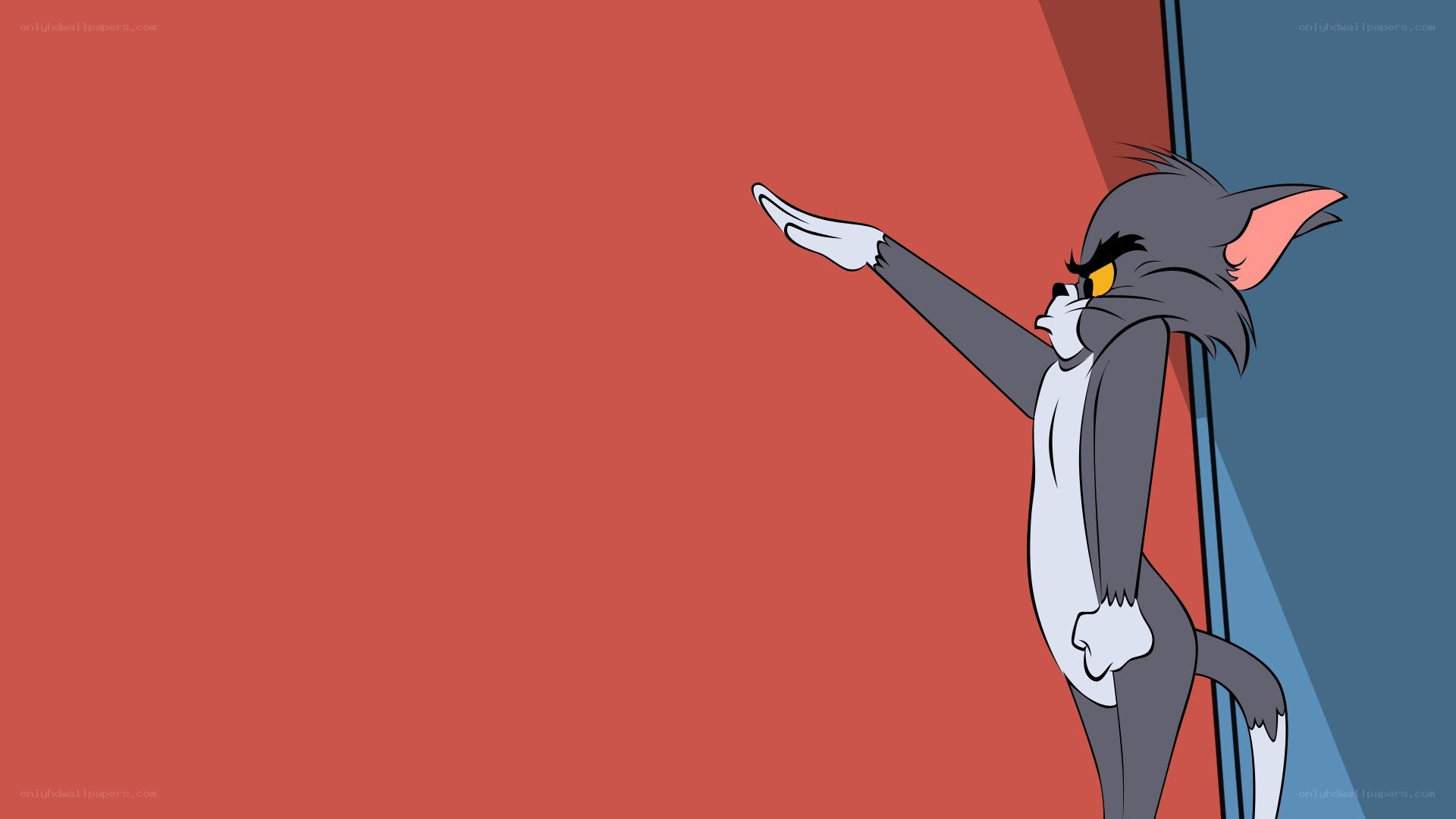 Tom from Tom and Jerry