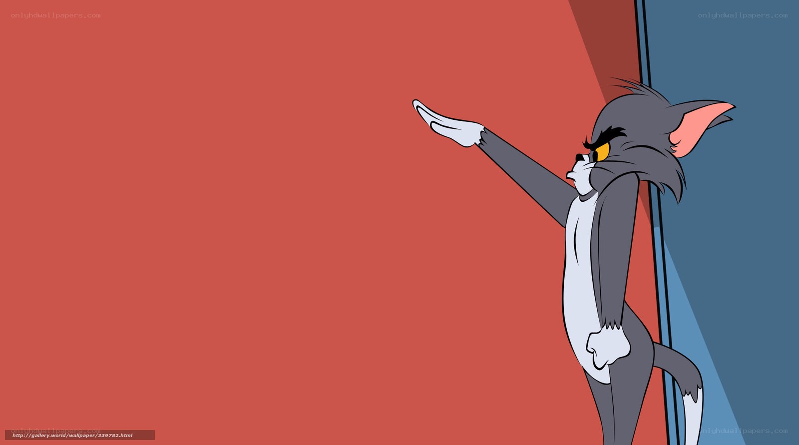 Tom from Tom and Jerry