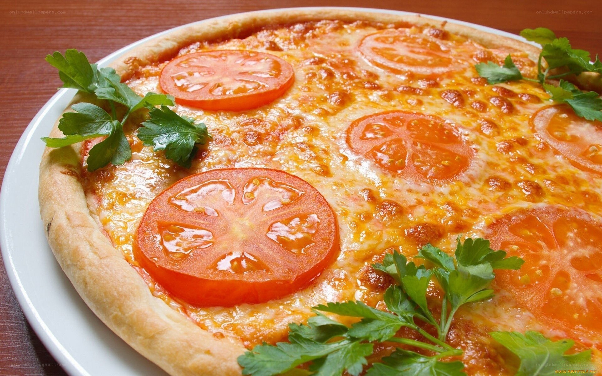 Tomato and cheese pizza