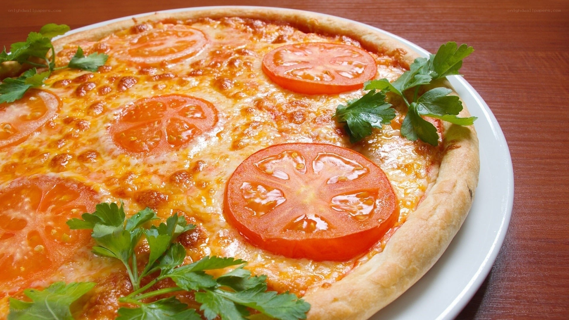 Tomato and cheese pizza