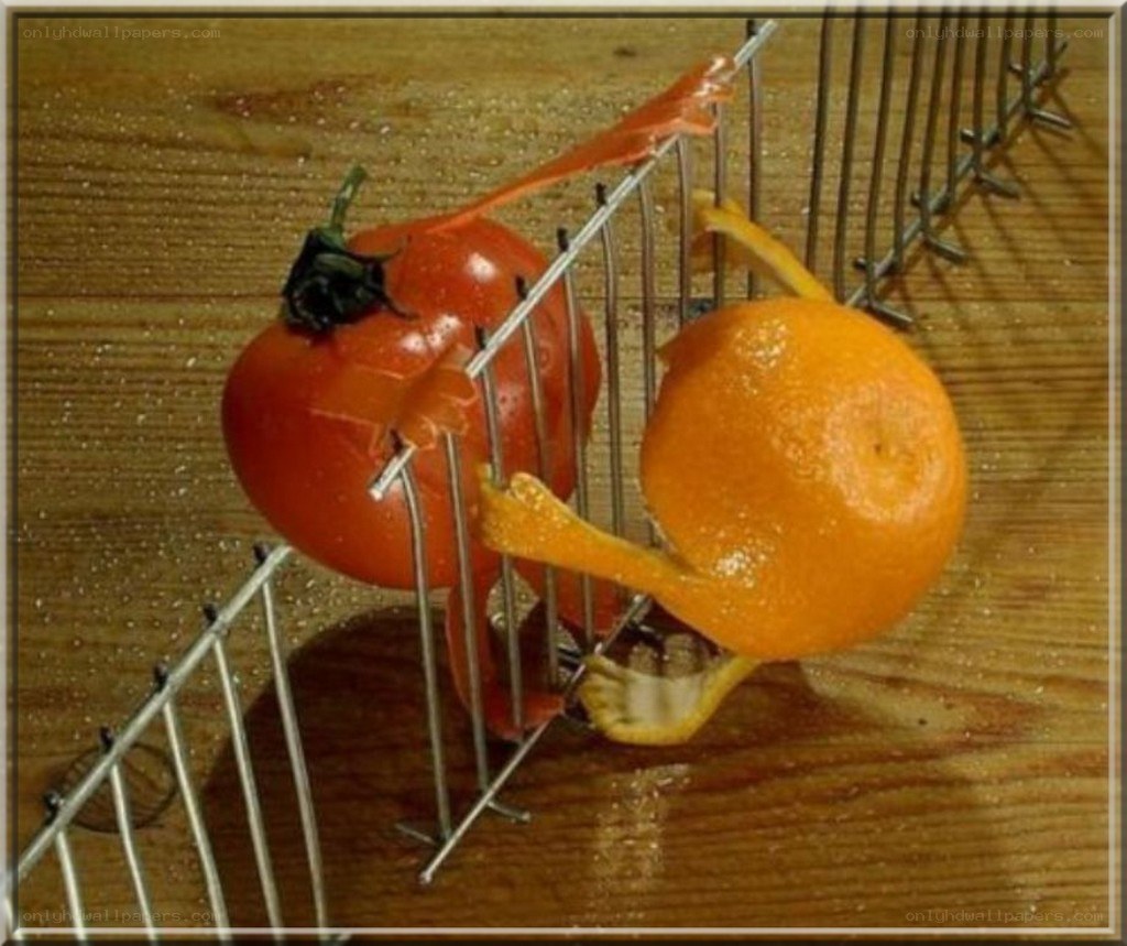 Tomato and orange in a basket