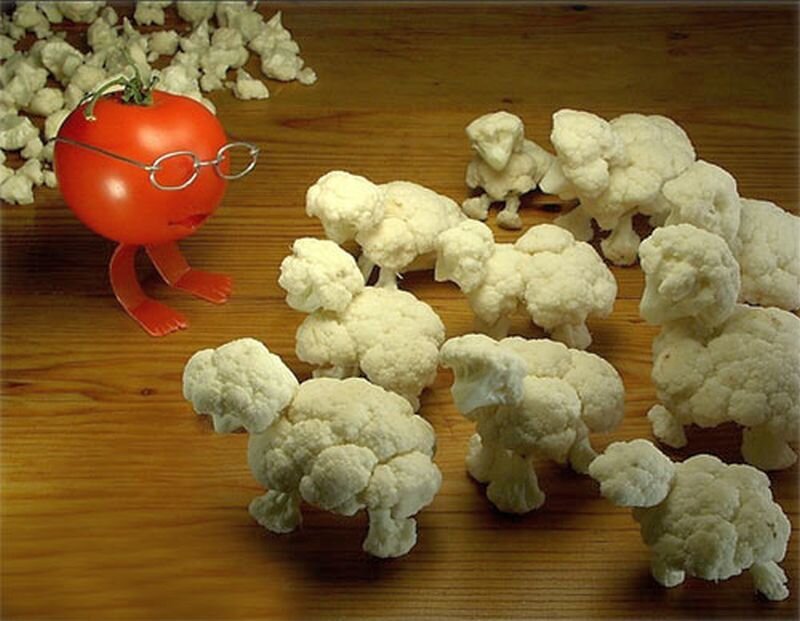 Tomato with Glasses and Cauliflower Sheep