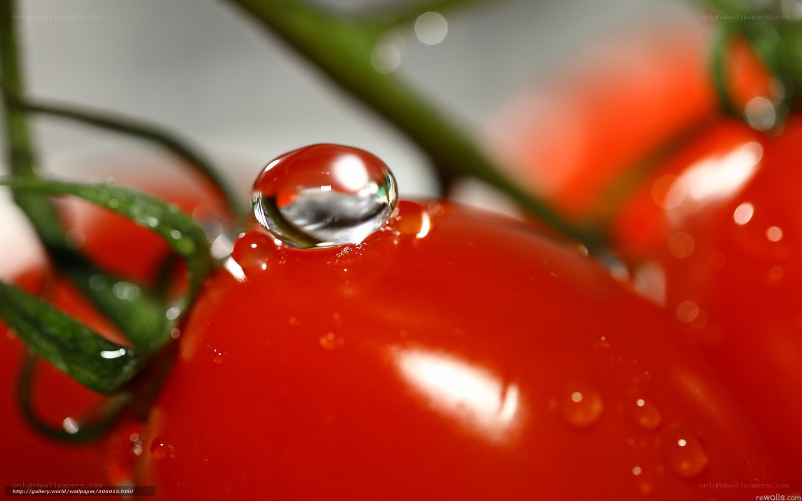 Tomato with water droplet