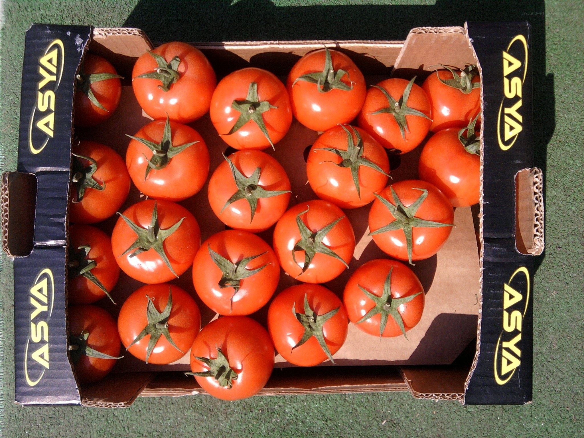 Tomatoes in a cardboard box
