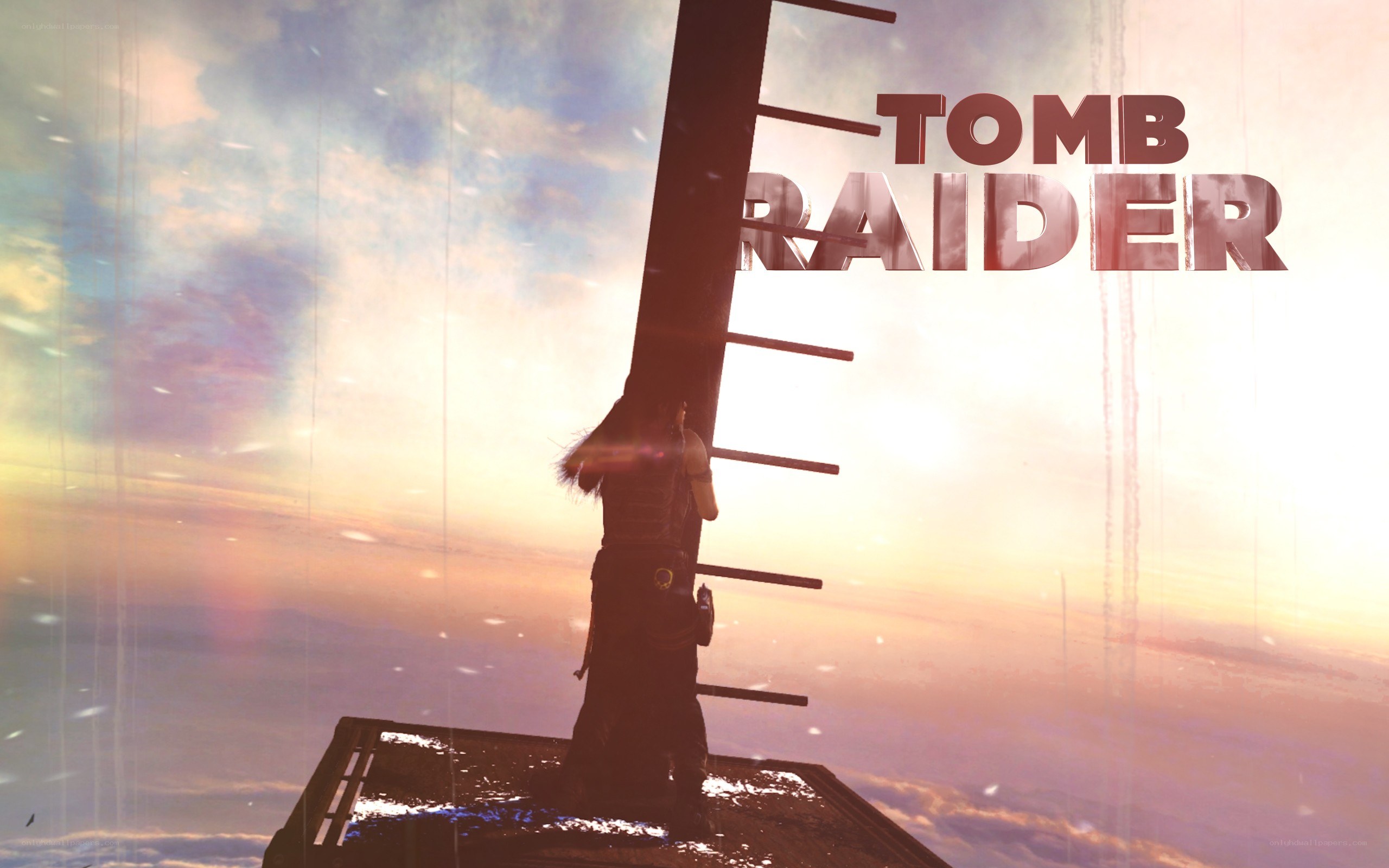 Tomb Raider game cover art