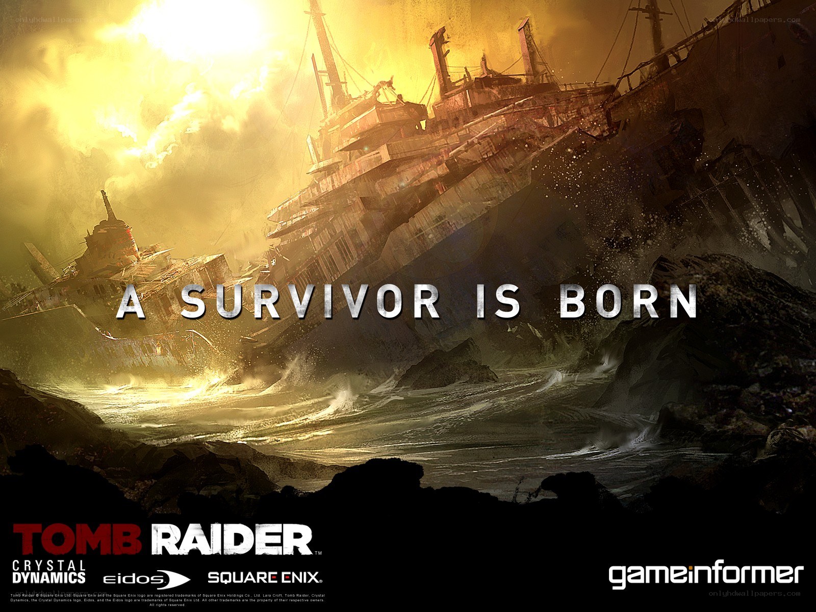 tomb raider survivor born