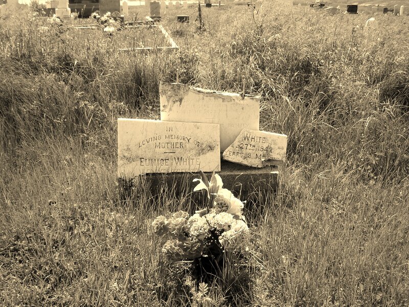 Tombstones in Overgrown Grass