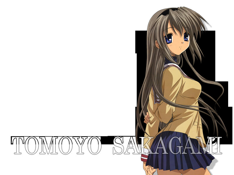 Tomoyo Sakagami character art