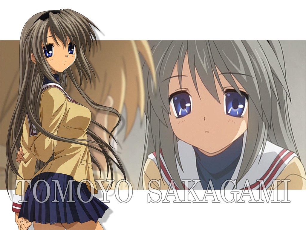 Tomoyo Sakagami character art