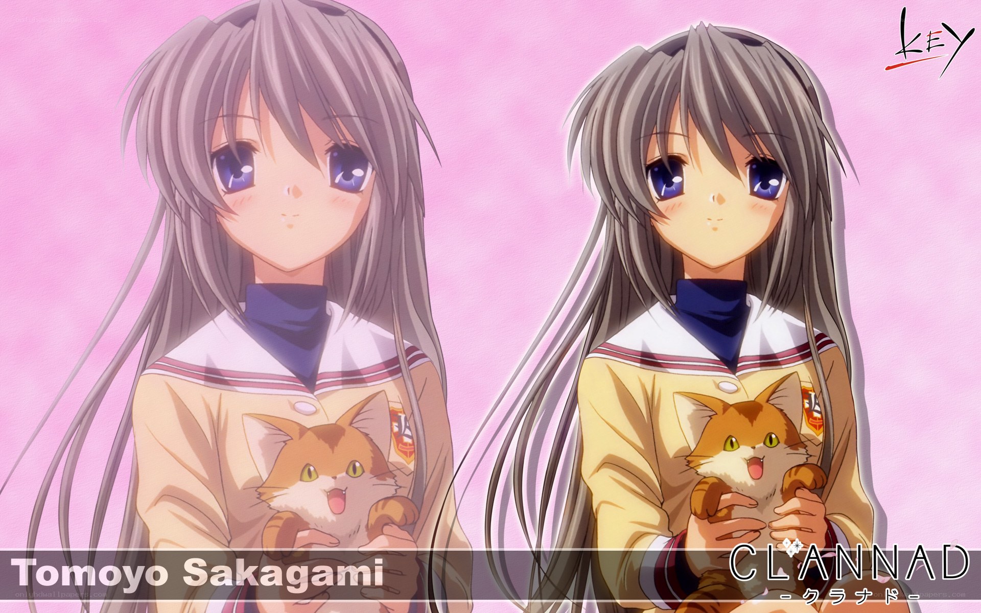 Tomoyo Sakagami with cat