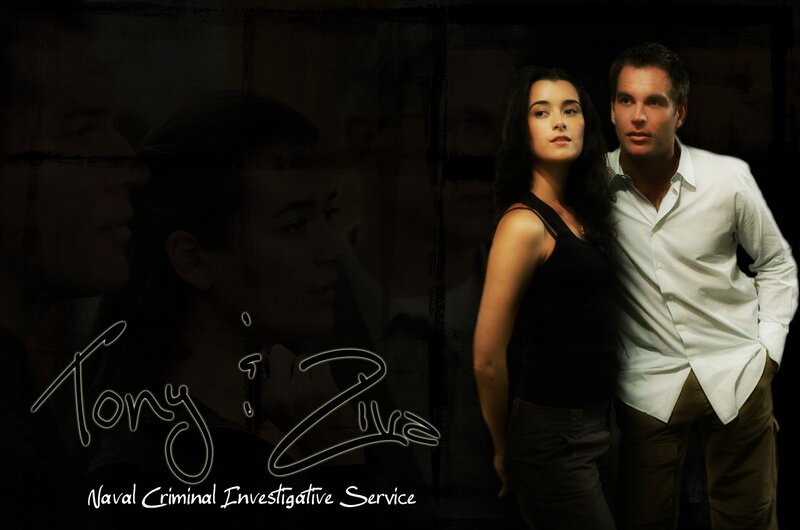 Tony and Ziva from NCIS