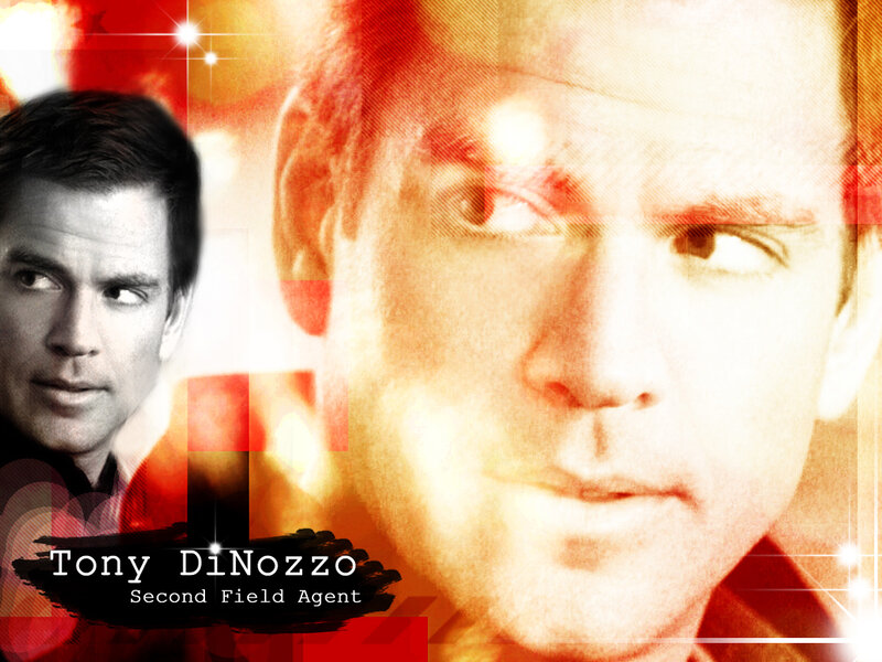 Tony DiNozzo character art