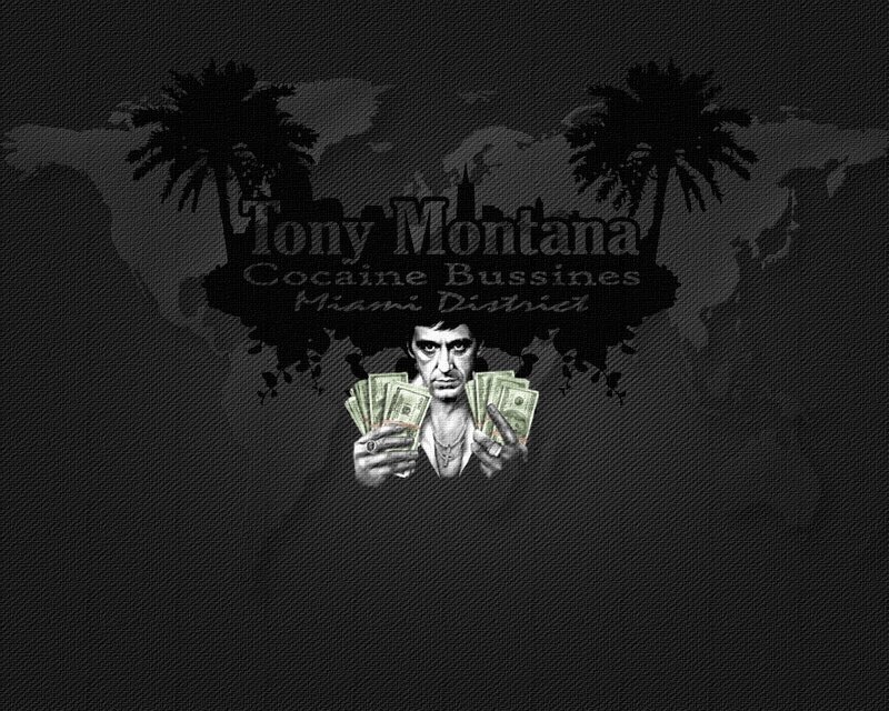 Tony Montana cocaine business