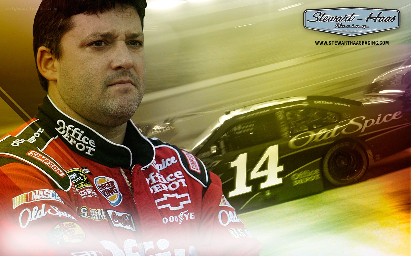 Tony Stewart racing portrait