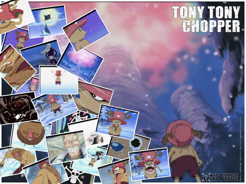 Tony Tony Chopper collage