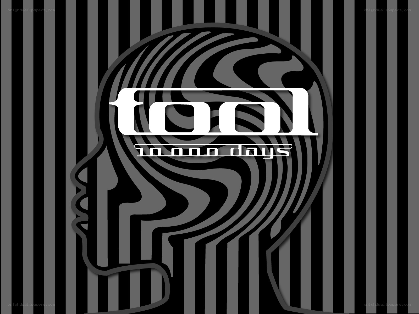 Tool album cover art