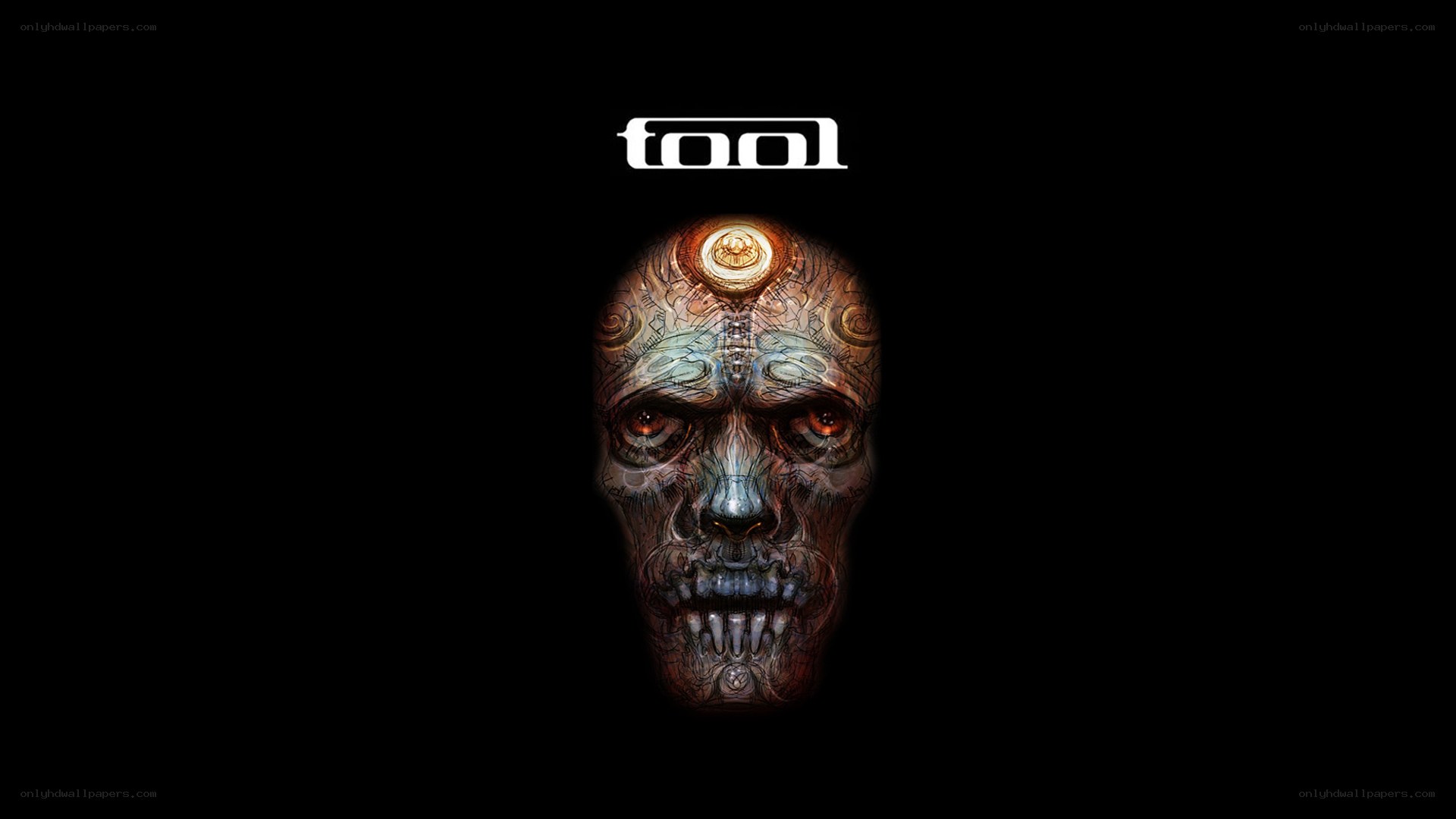 Tool band logo with skull