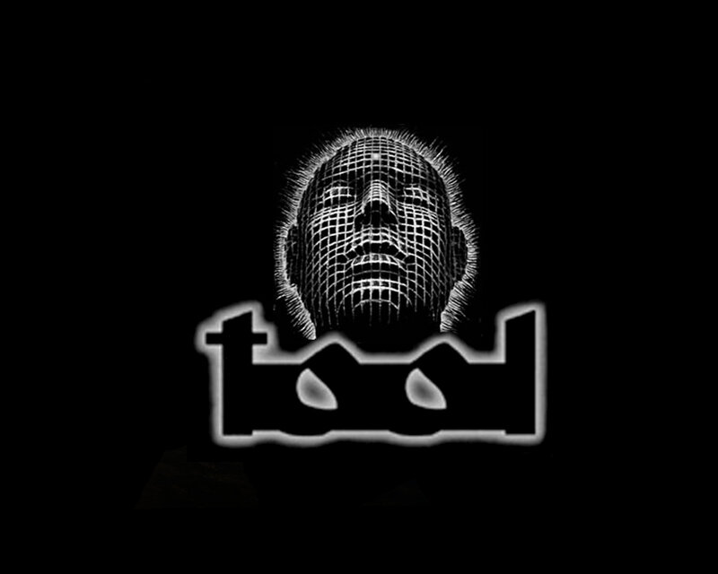 Tool band logo with wireframe face