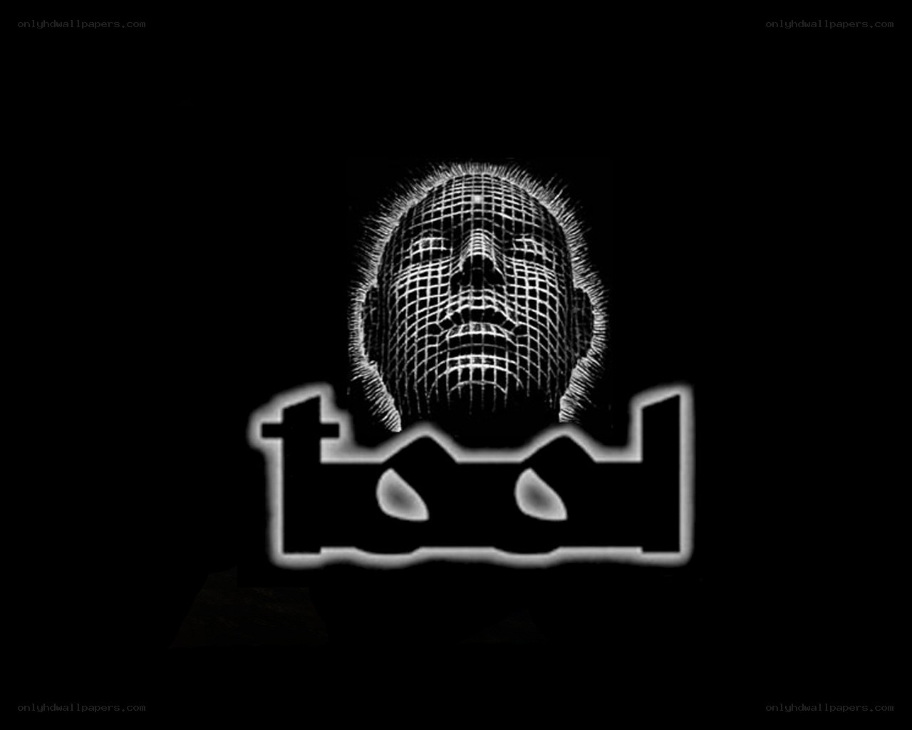 Tool band logo with wireframe face