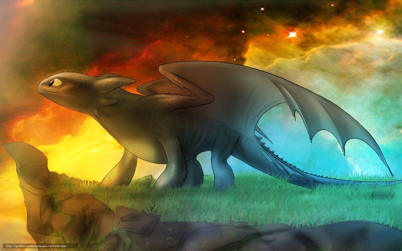 Toothless in the sunset