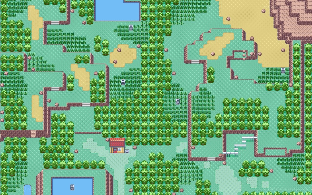 top-down map of a forest area