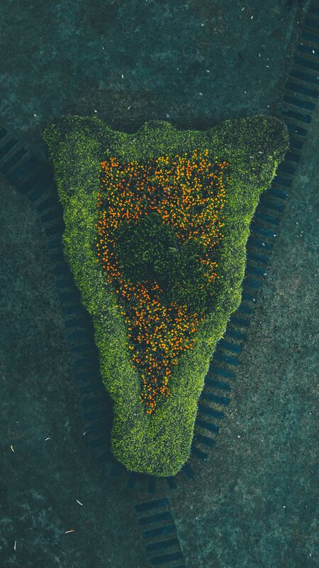 Top-down View of Hedge Sculpture