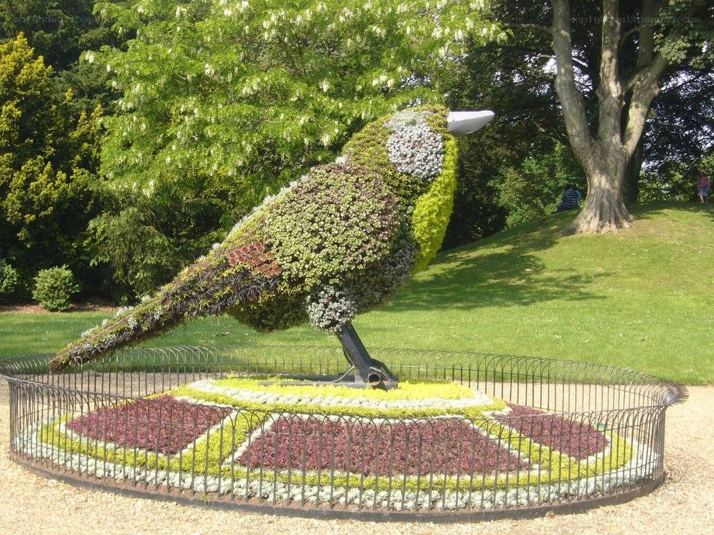 Topiary bird sculpture