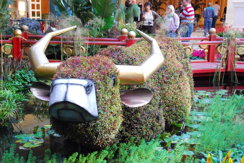 topiary bull sculpture