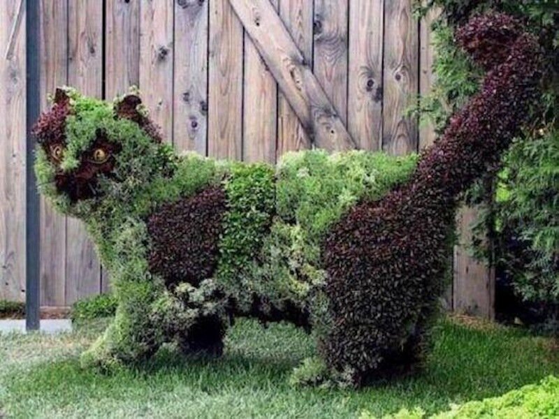 Topiary Cat Sculpture