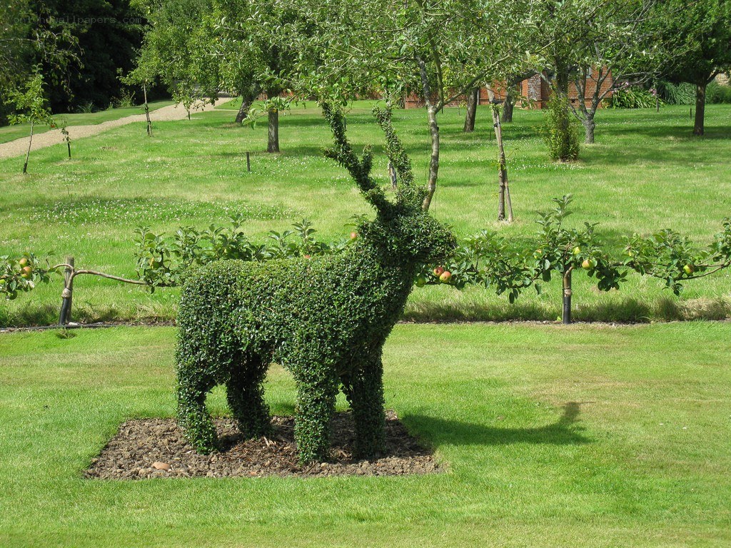 Topiary deer in garden