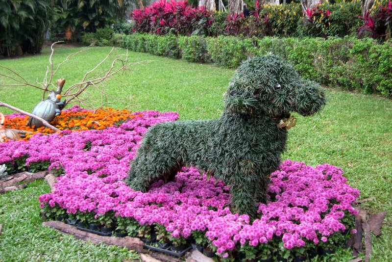 Topiary Dog Sculpture