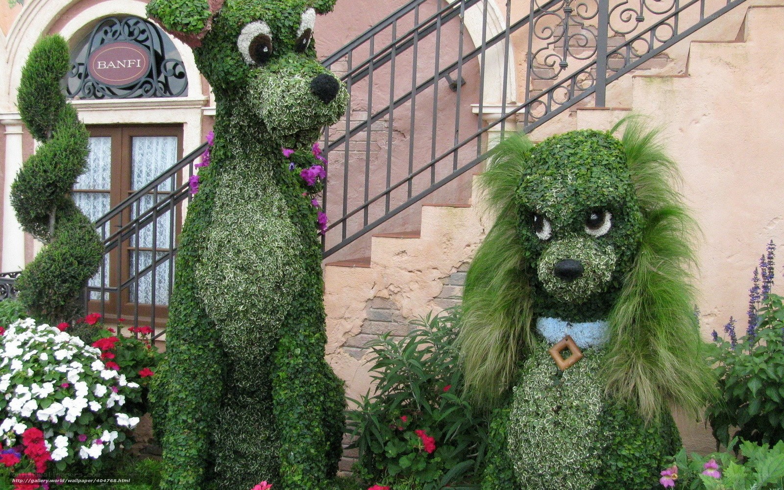 Topiary dogs at Banfi