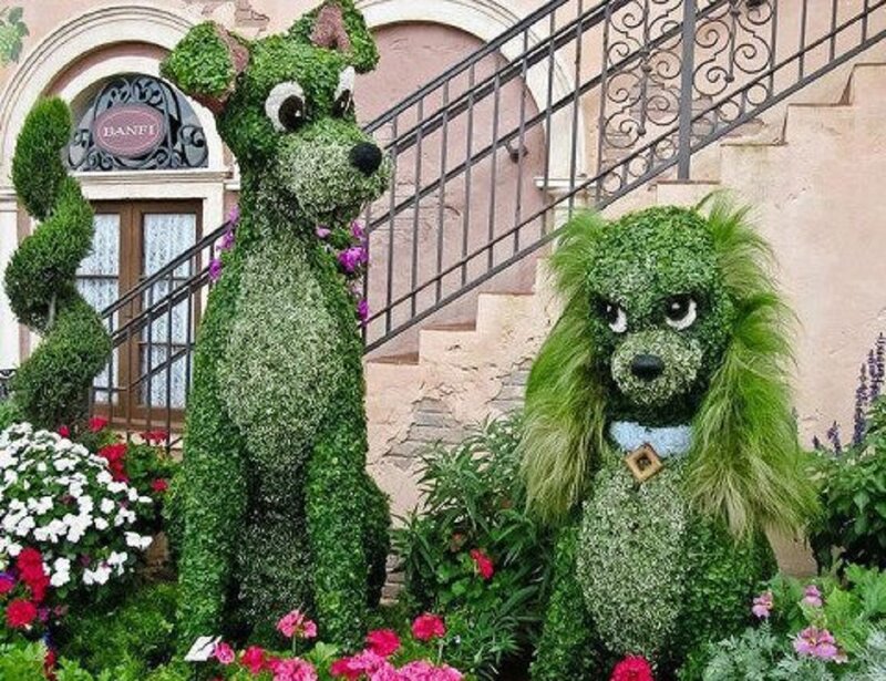 Topiary Dogs in Garden