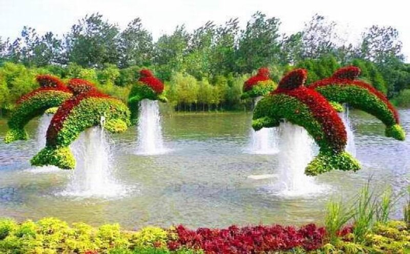 Topiary Dolphins in Fountain