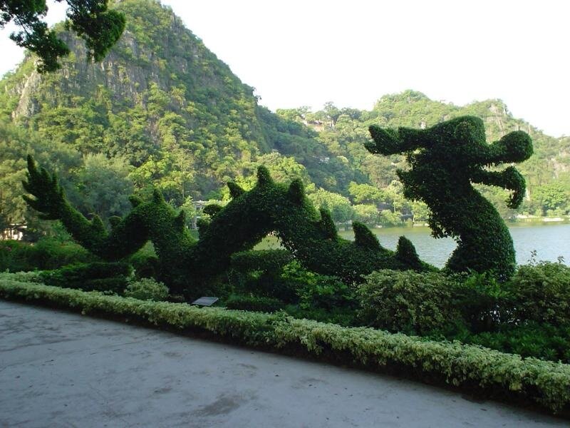 Topiary Dragon Sculpture