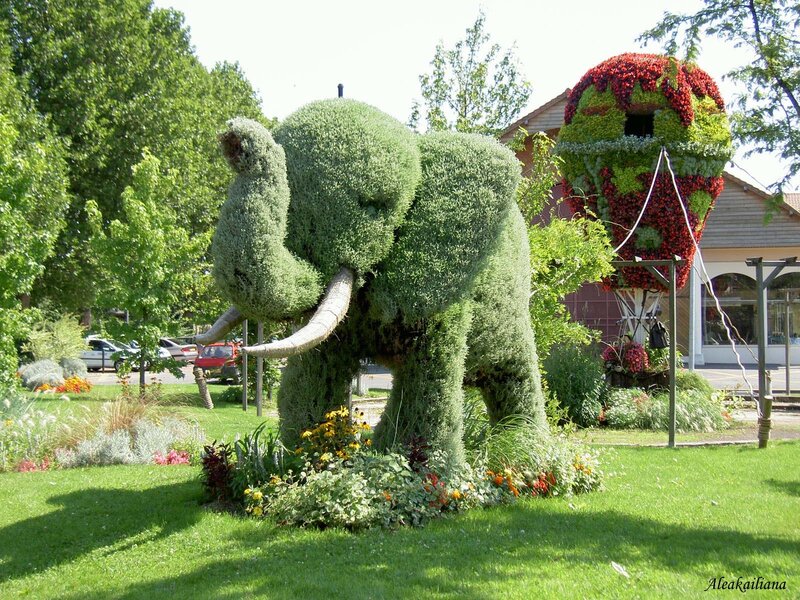 Topiary elephant and hot air balloon