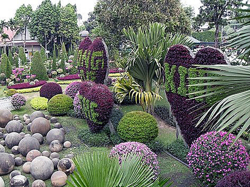 Topiary Garden Display — Green