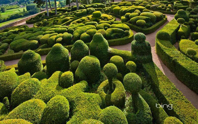 topiary garden landscape