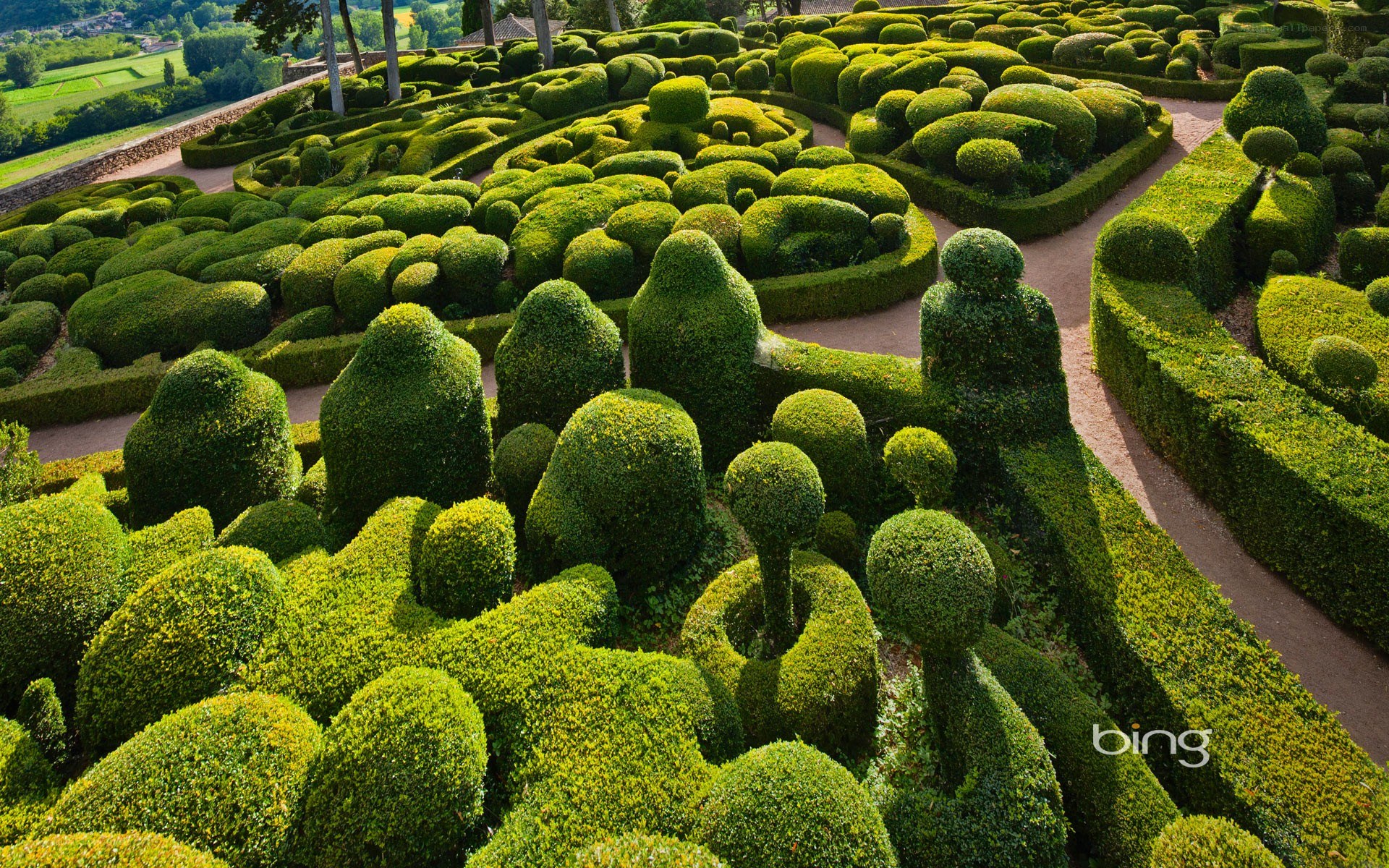 topiary garden landscape