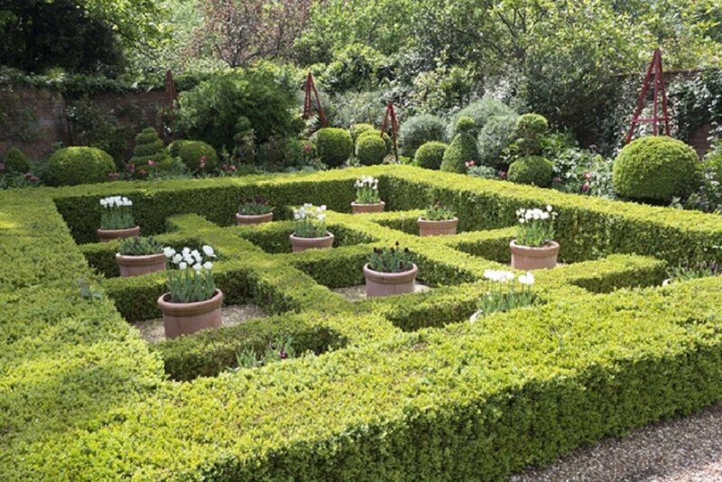 Topiary Garden Maze — Green, Serene