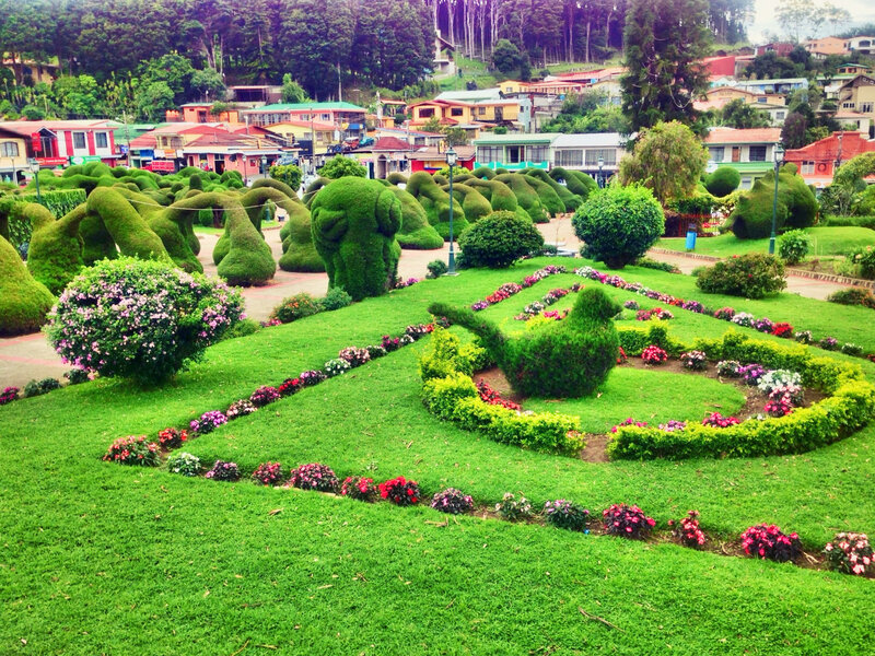 Topiary Garden with Animals