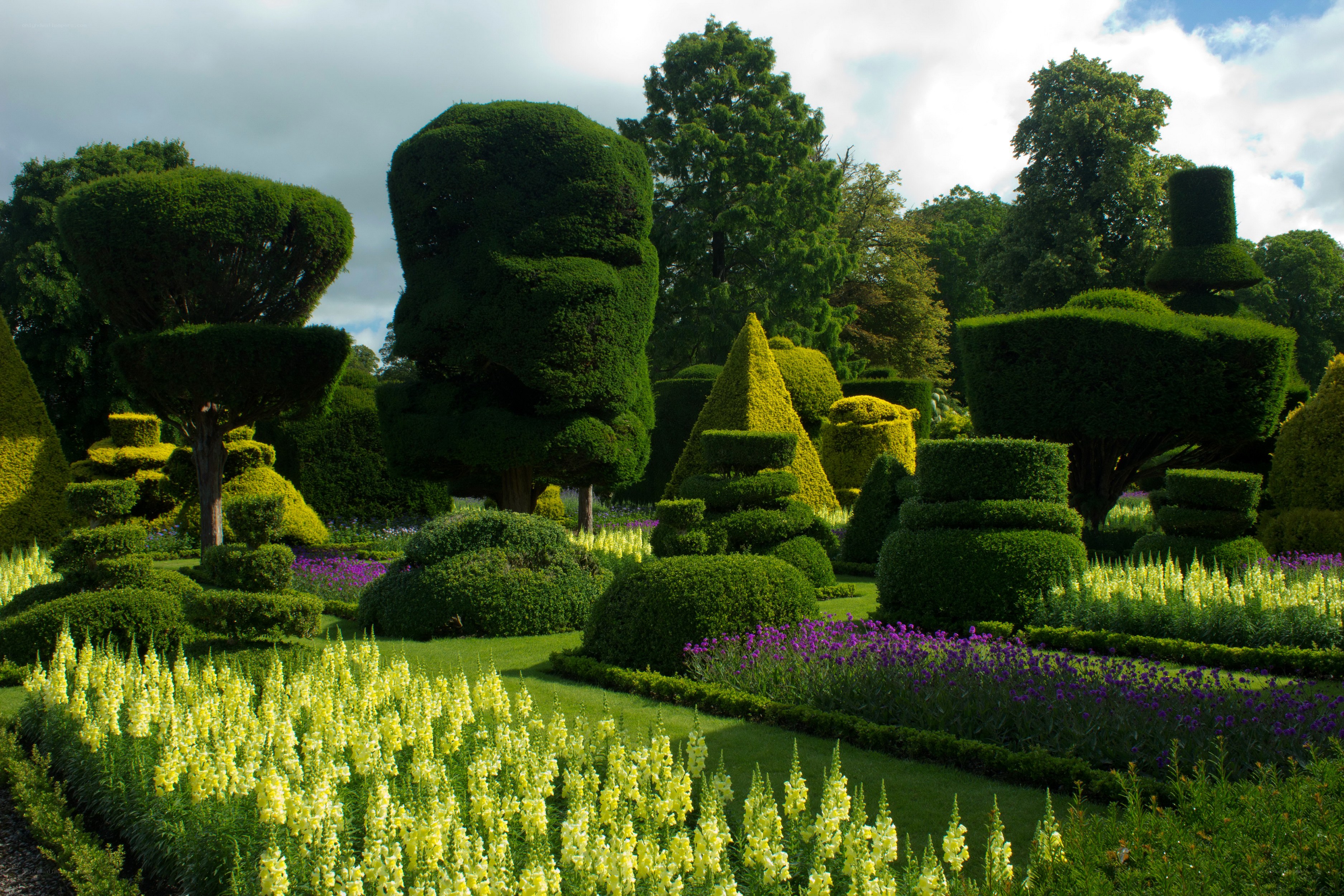 topiary garden with sculpted hedges
